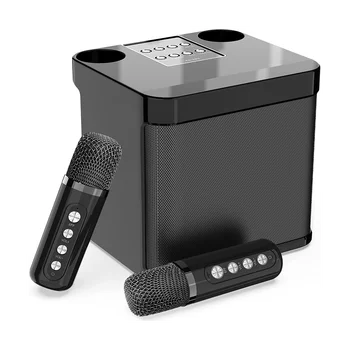 Аудиосистема семейства KTV с двойным беспроводным микрофоном, Встроенная в машину, Портативная коробка для караоке Bluetooth на открытом воздухе.