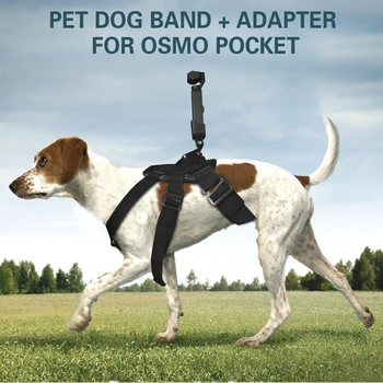6в1 для домашних собак, ремешки на спине, ремешок для экшн-камеры gopro hero osmo dji Pocket / Аксессуары для камеры Pocket 2